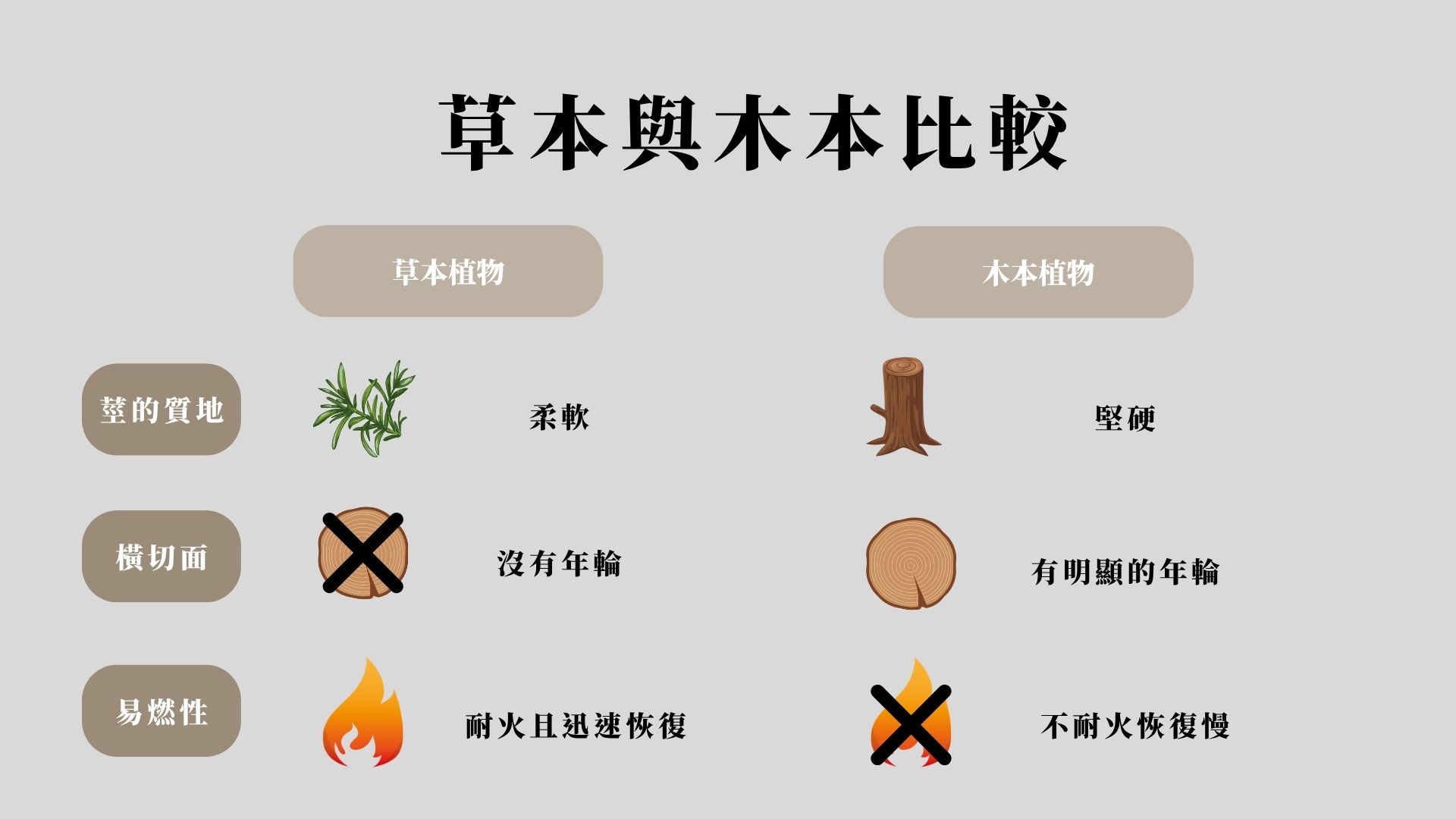 草本植物在面對火災時，雖然表面容易燃燒，但其獨特的生理結構使其在火災後能比木本植物更快復甦。