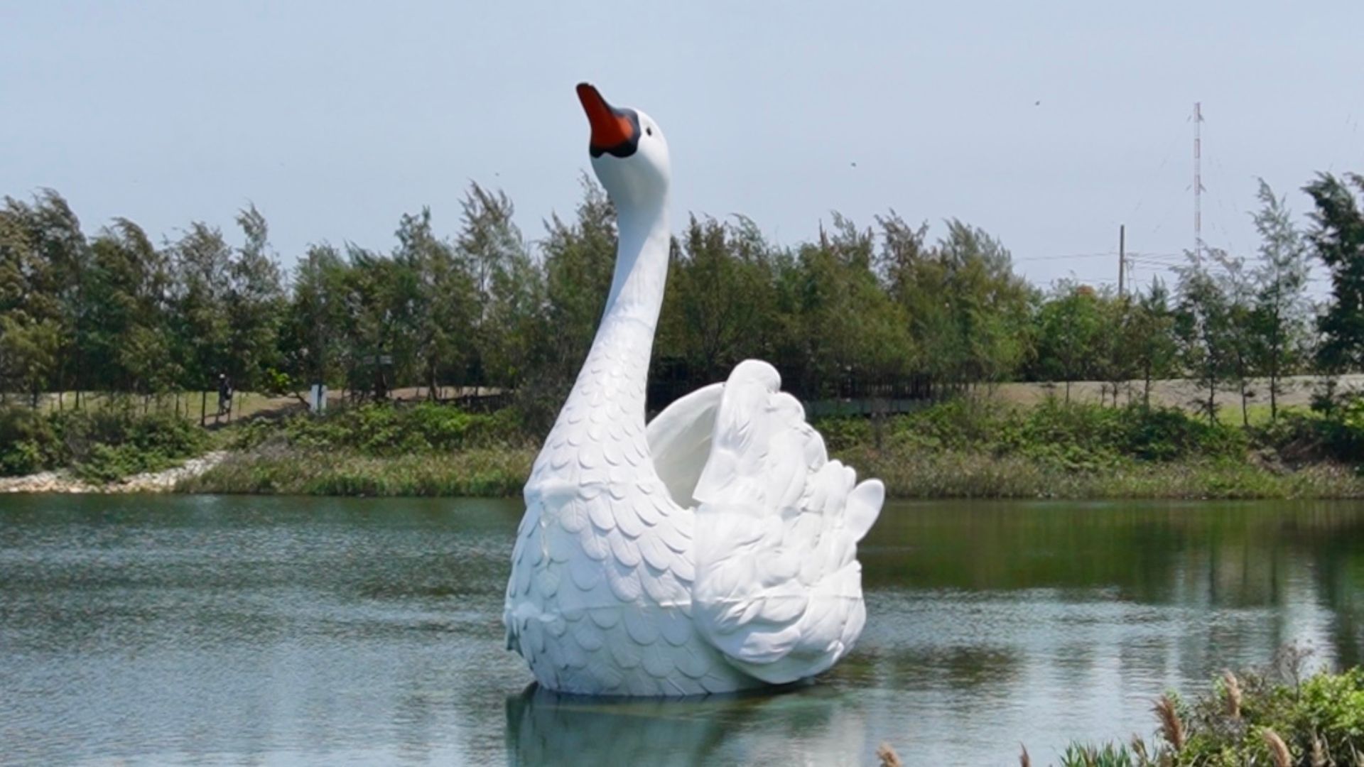 大型天鵝裝置藝術照片。