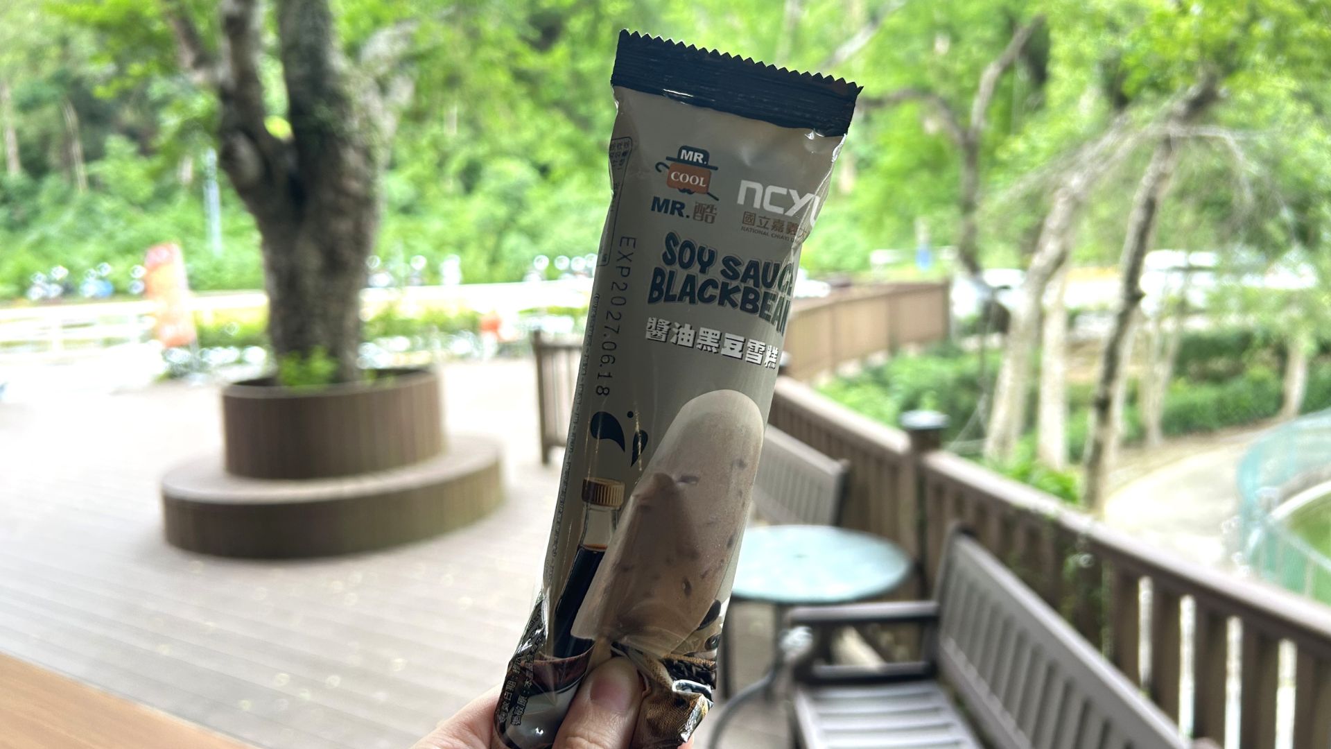 醬油黑豆雪糕外觀