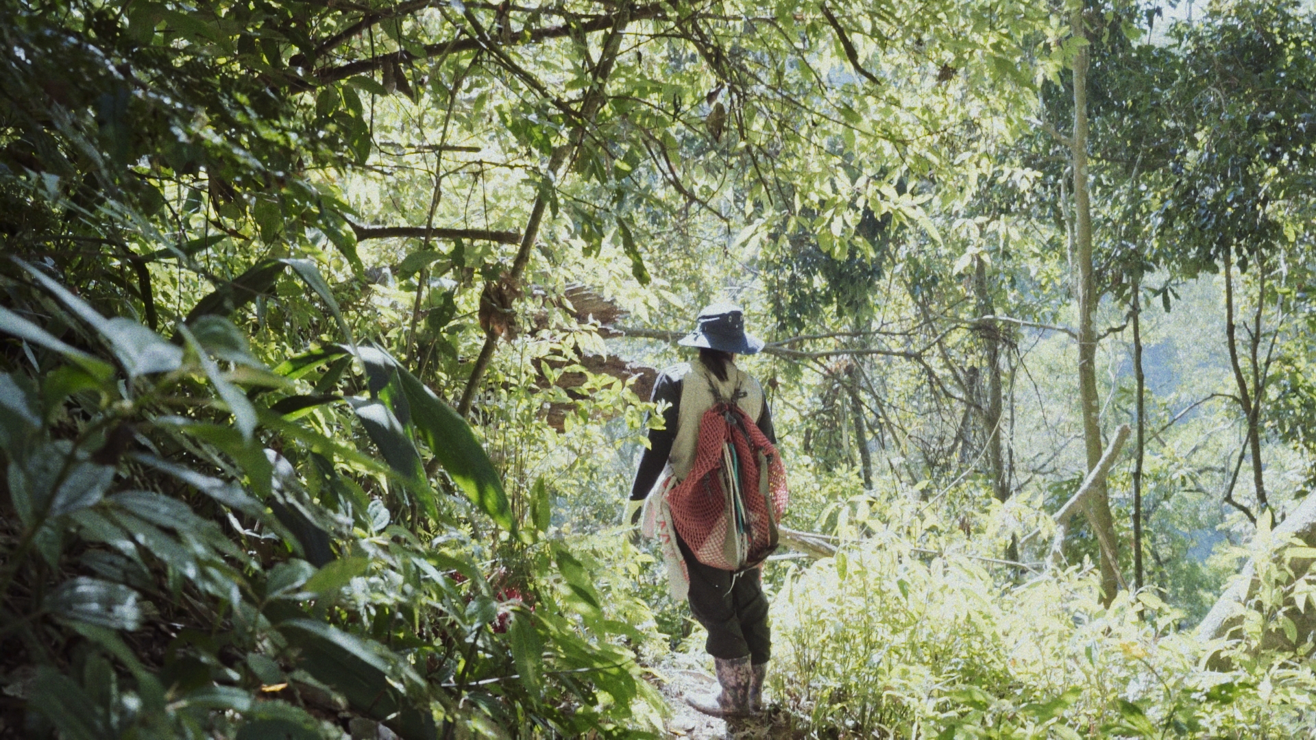 一名女獵人走在山林裡