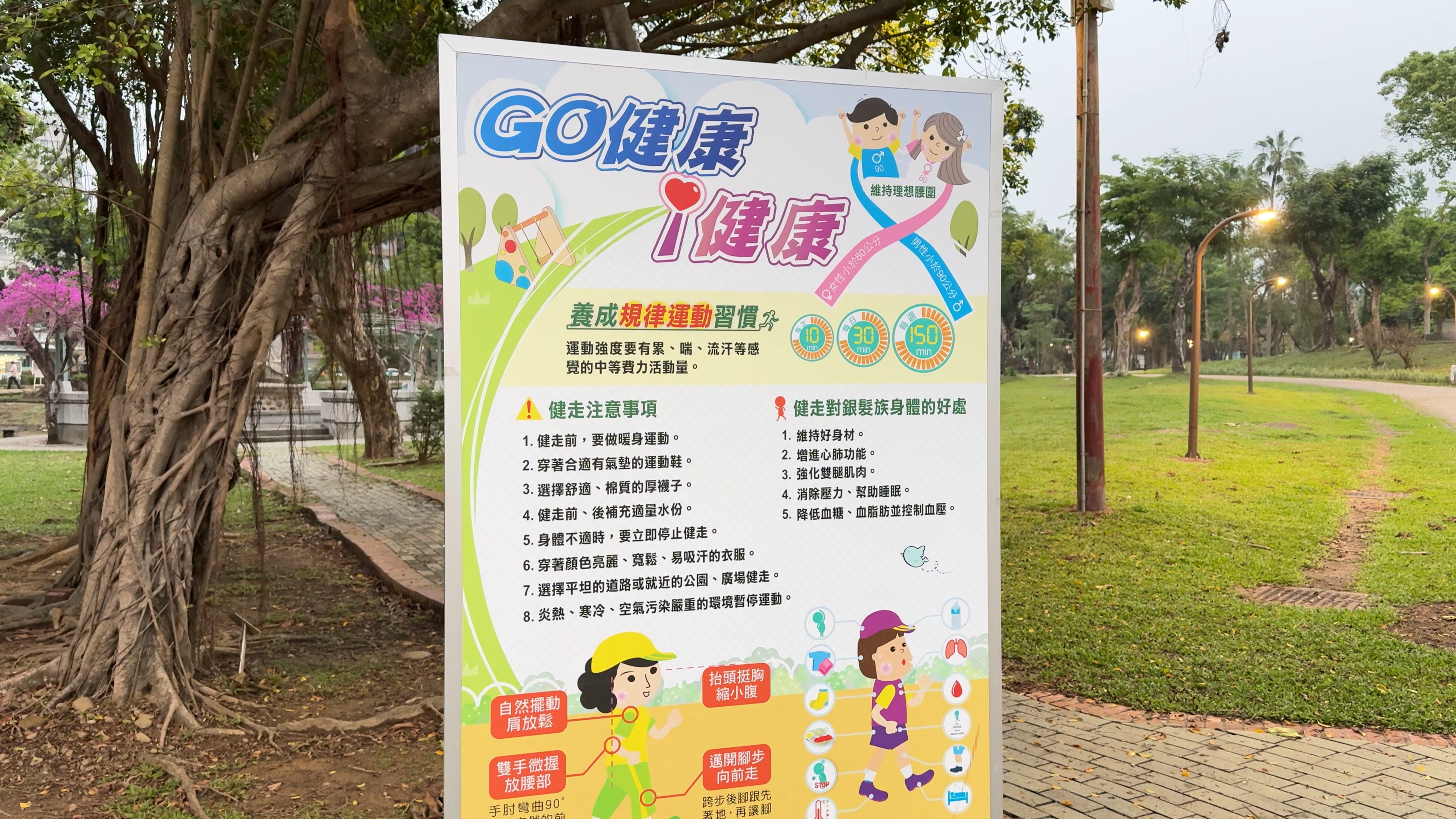 公園內的「GO健康」健走宣導看板，內容包含健走注意事項、對銀髮族的好處及正確姿勢圖解。