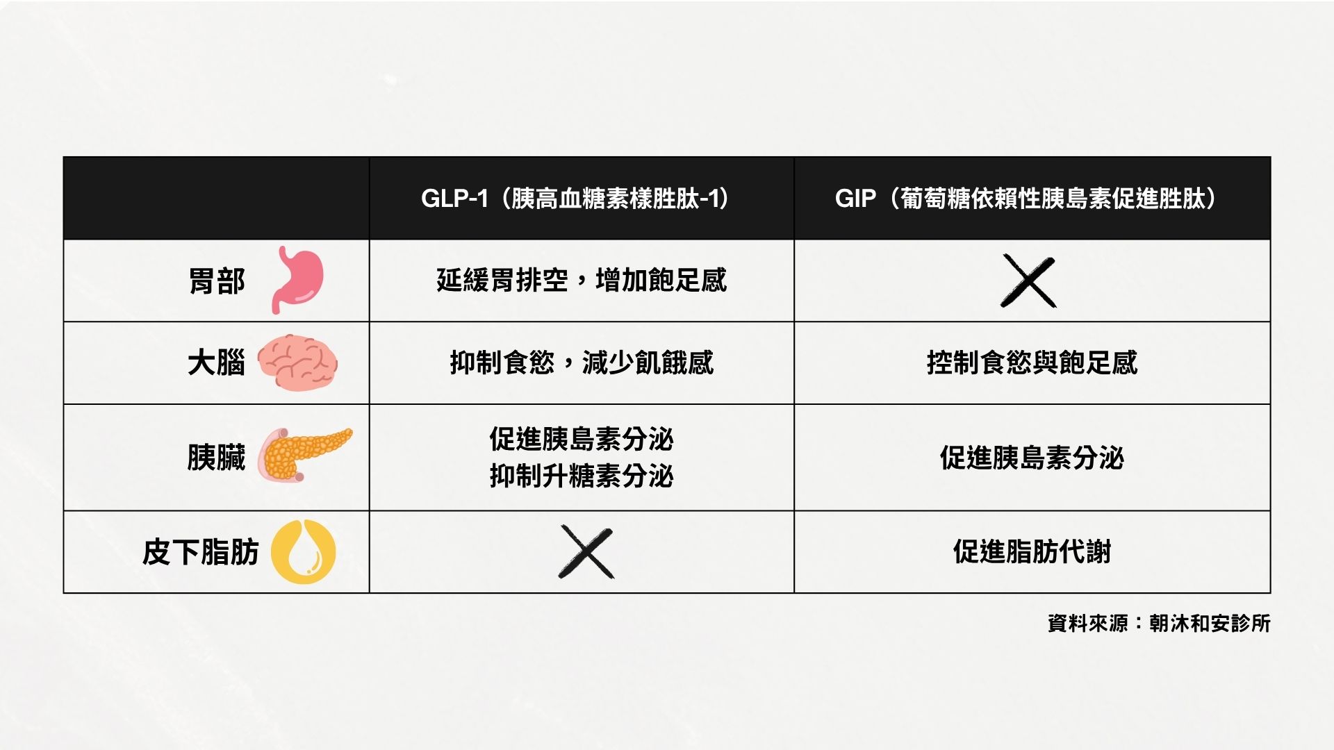 這張圖表展示了GLP-1更偏重於延緩胃部消化，而GIP則額外具有促進脂肪代謝的潛力。