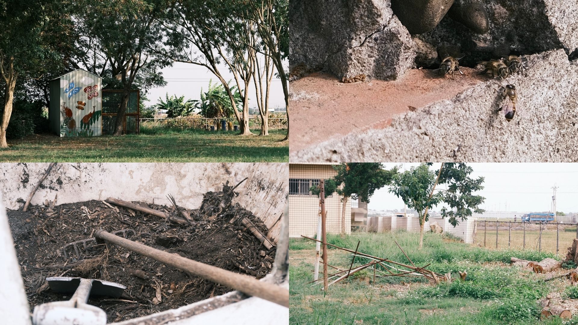 樹木、土壤等校園內的自然景觀