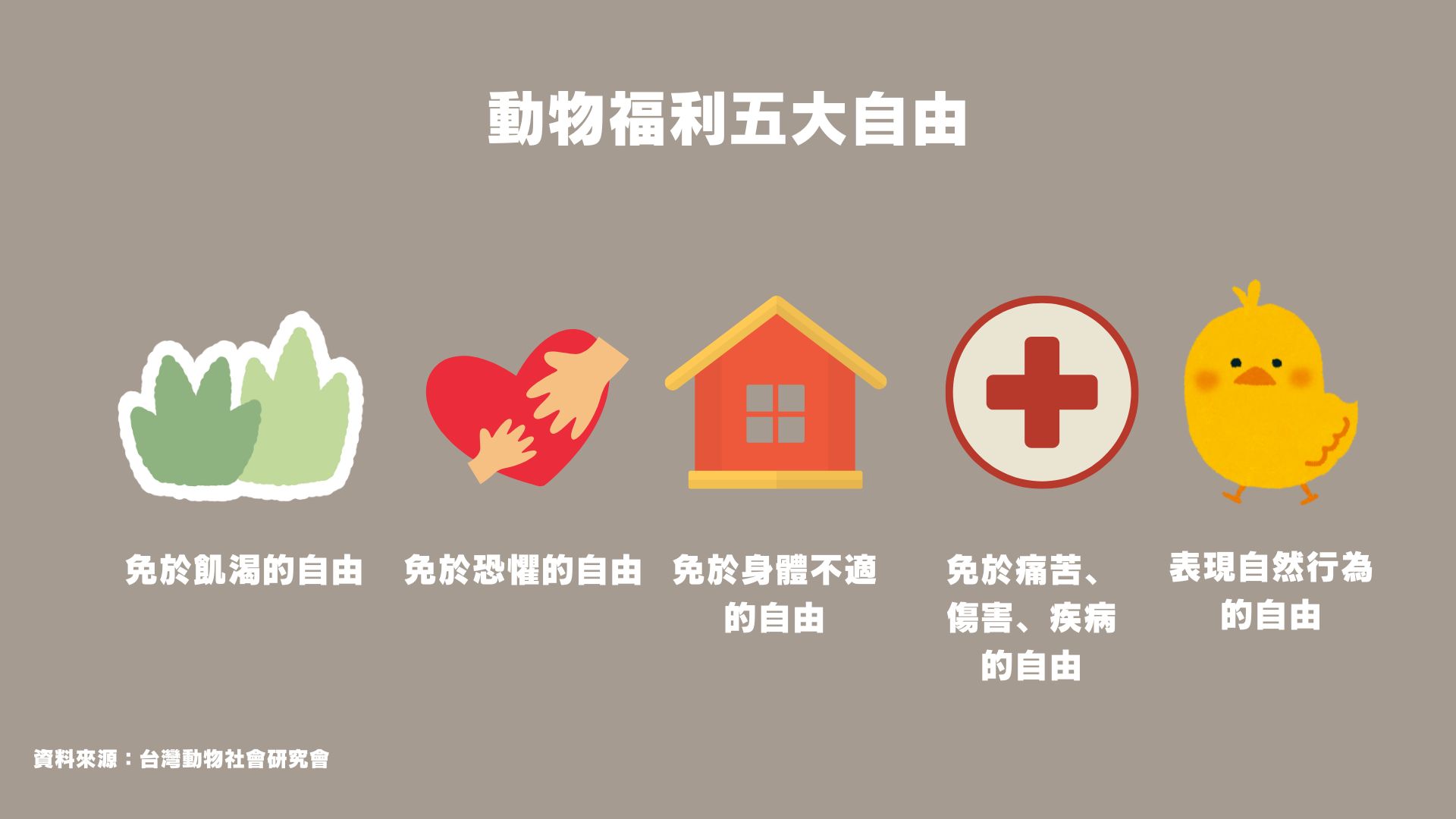 動物福利五大自由：「免於肌渴的自由」、「免於恐懼的自由」、「免於身體不適的自由」、「免於痛苦、傷害、疾病的自由」、表現自然行為的自由，資料來源：台灣動物社會研究會