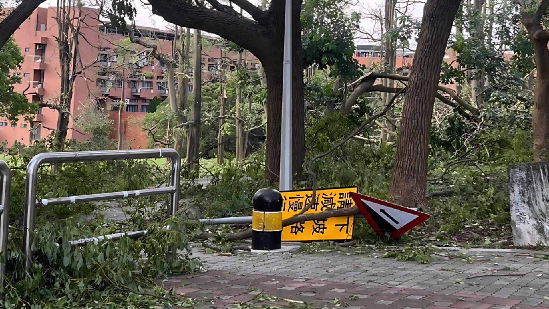 校園內路牌倒塌，樹枝遍佈各處