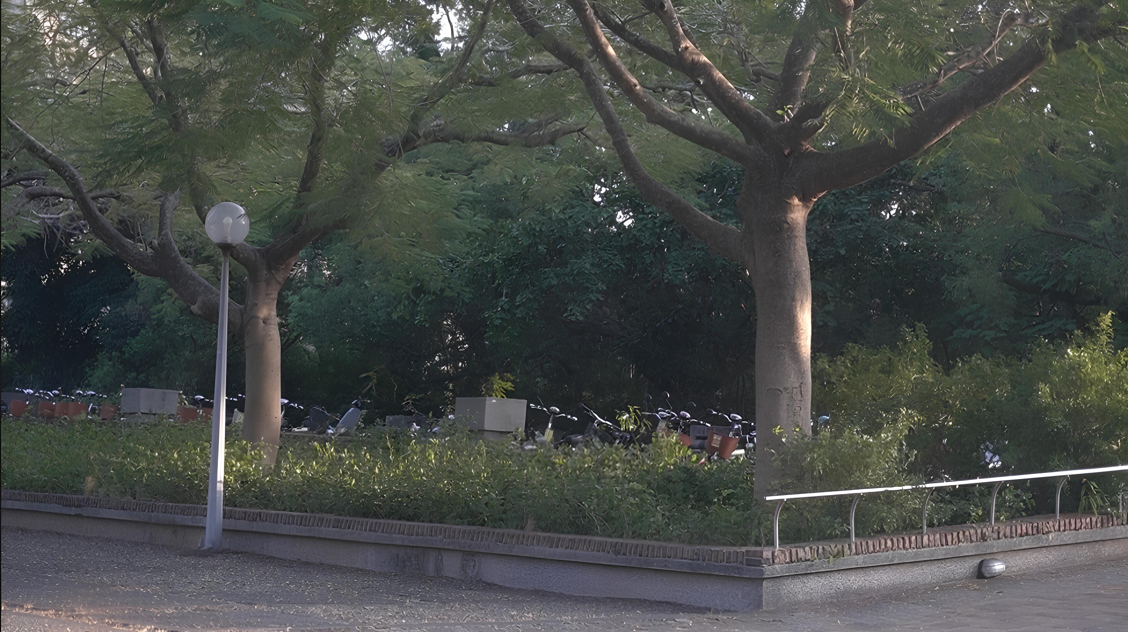 校園內的樹木與花圃