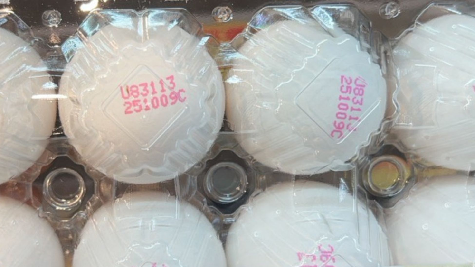 雞蛋上的溯源編碼特寫