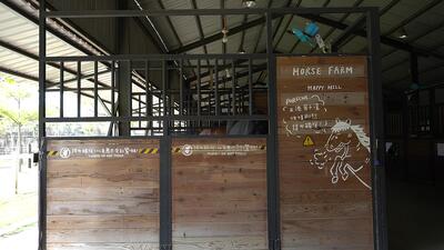 馬年掀馬術熱潮 躍上馬背成新趨勢圖片