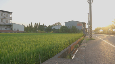 風景