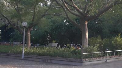 學歷貶值下的大學生焦慮圖片