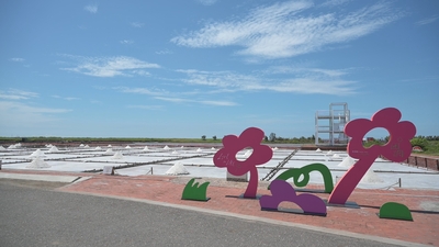 歌手田馥甄在鹽雕藝術季展出的「田調小花」