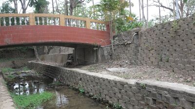 水岸美學與生態 重塑共生韌性圖片