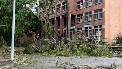 共同教室大樓前的樹木倒塌無法通行